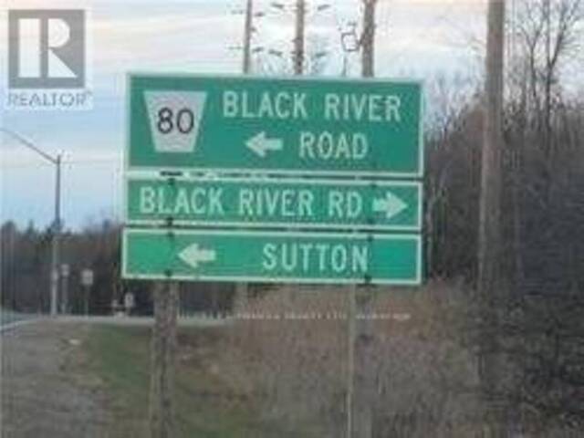 0 BLACK RIVER RD Georgina